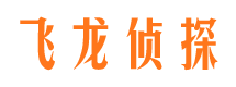 正阳婚外情调查